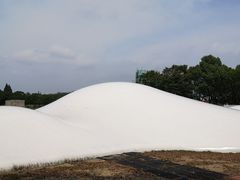 -上海月湖雕塑公园