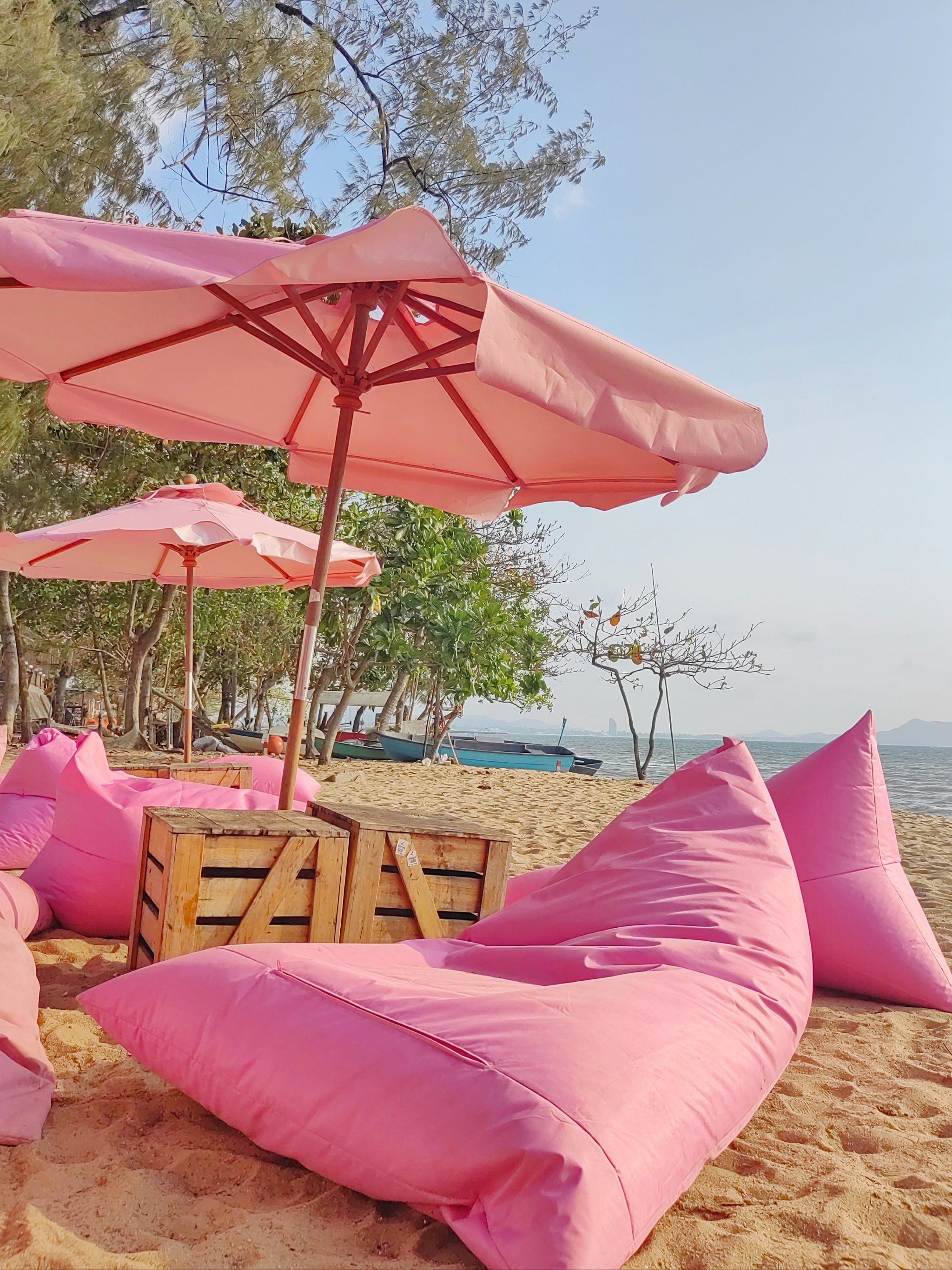 粉色沙滩➕贝壳🐚小甜水 谁能不爱呢