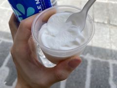 -洪馨椰子