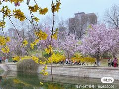 -元大都城垣遗址公园