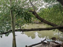 -金稼园·金平湖农家菜