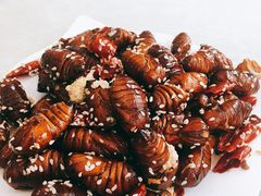 蚕蛹-鲁山揽锅菜(金鼎店)