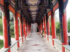 -兰山公园