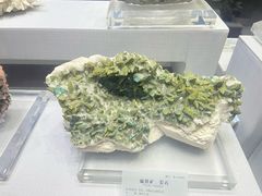 -湖南省地质博物馆