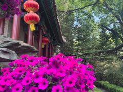 -白家大院·王府宫廷菜(苏州街店)