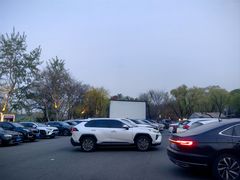 -枫花园汽车电影院(朝阳公园店)