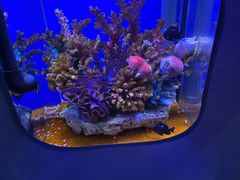 -海合安武汉极地海洋公园