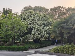-河南省黄河迎宾馆