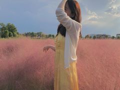 -映月湖中央公园