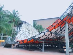 -亚马逊丛林水乐园