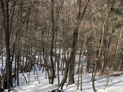 -沂蒙山旅游区云蒙景区(蒙山国家森林公园)