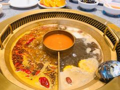 -豪渝火锅(宜昌水悦城店)