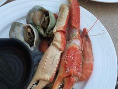 -亮马河饭店翠雅咖啡厅