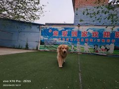-宠物寄养训练学校