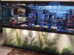 -渝乡辣婆婆·川菜 水煮鱼(安平店)