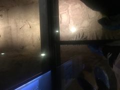 -汉景帝阳陵博物院