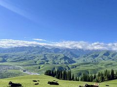 -新疆那拉提国家旅游度假区