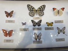 -中国湿地博物馆