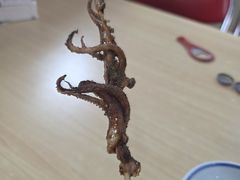 -黄寺卤煮·黄寺喝酒公司