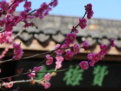 -杭州植物园