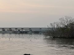 -宝安西湾红树林湿地公园