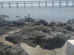 -黑石礁公园