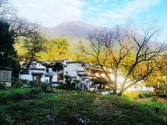 -塔川景区