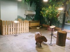 -太阳岛度假酒店