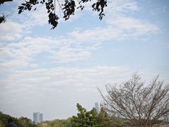 -深圳湾公园(南山区)