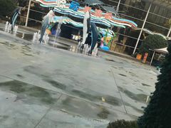 -海合安成都极地海洋公园