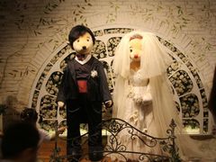 -济州岛泰迪熊博物馆