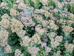 -张掖大佛寺景区