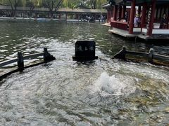 -百脉泉景区
