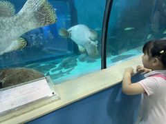 -苏州海洋馆