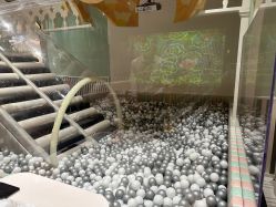 -奈尔宝·儿童乐园·亲子餐厅(华采天地店)