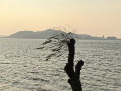 -东钱湖小普陀景区