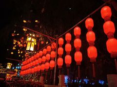 -金城公园