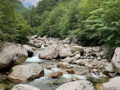 -青峰峡国家森林公园