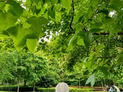 -昆山城市生态森林公园