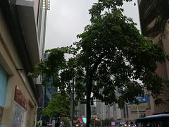 -柯达数码影像(淮海路店)