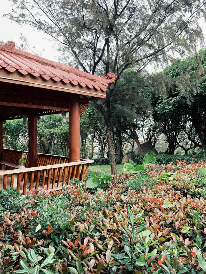 关注 打分 【苏轼探店】商户名:万宝山公园商户地址:是在平潭综合实验
