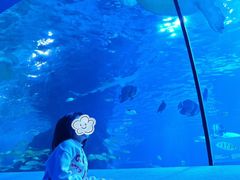 -太平洋海底世界