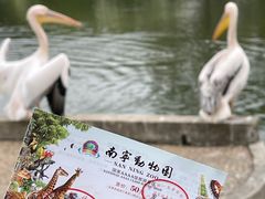 -南宁市动物园