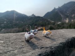 -居庸关长城