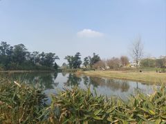 -两河城市森林公园