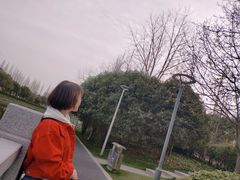 -嘉定紫藤园