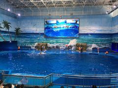 -多彩贵州城极地海洋世界