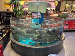 -魏铭鱼头捞饭(嘉善店)
