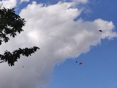 -莲花山公园