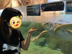 -福州罗源湾海洋世界旅游区